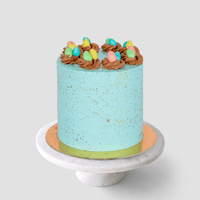 Mini Egg Cake In-Person Cake Decorating Class