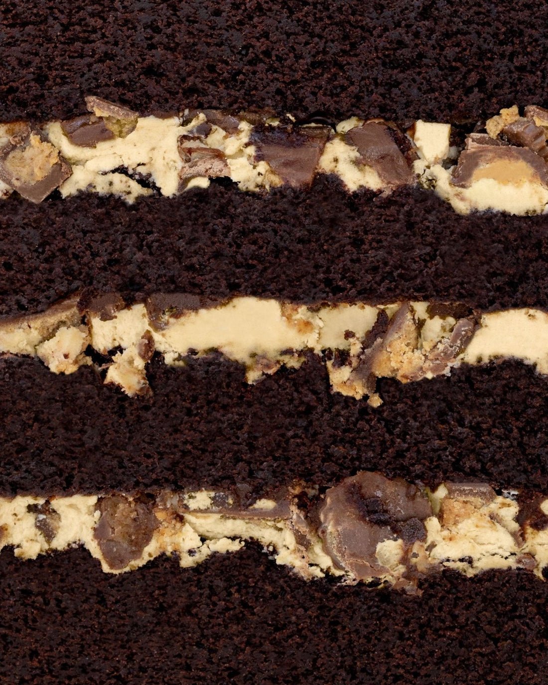 Close-up of Jenna Rae Cakes Peanut Butter Cup Cake, a moist, rich layered chocolate cake with creamy peanut butter filling and chunks of candy between dark chocolate layers.