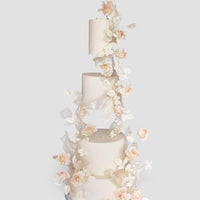Wedding Cakes $1,000+