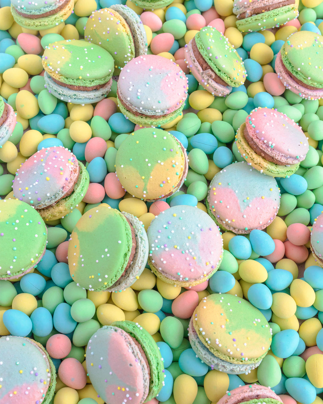 Mini Egg Macaron Gift Box