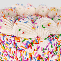 Vanilla Sprinkle Cake